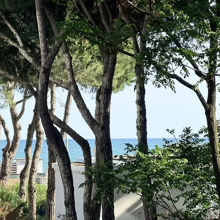 G-beach - Immobiliare *